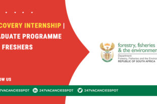 Discovery Internships